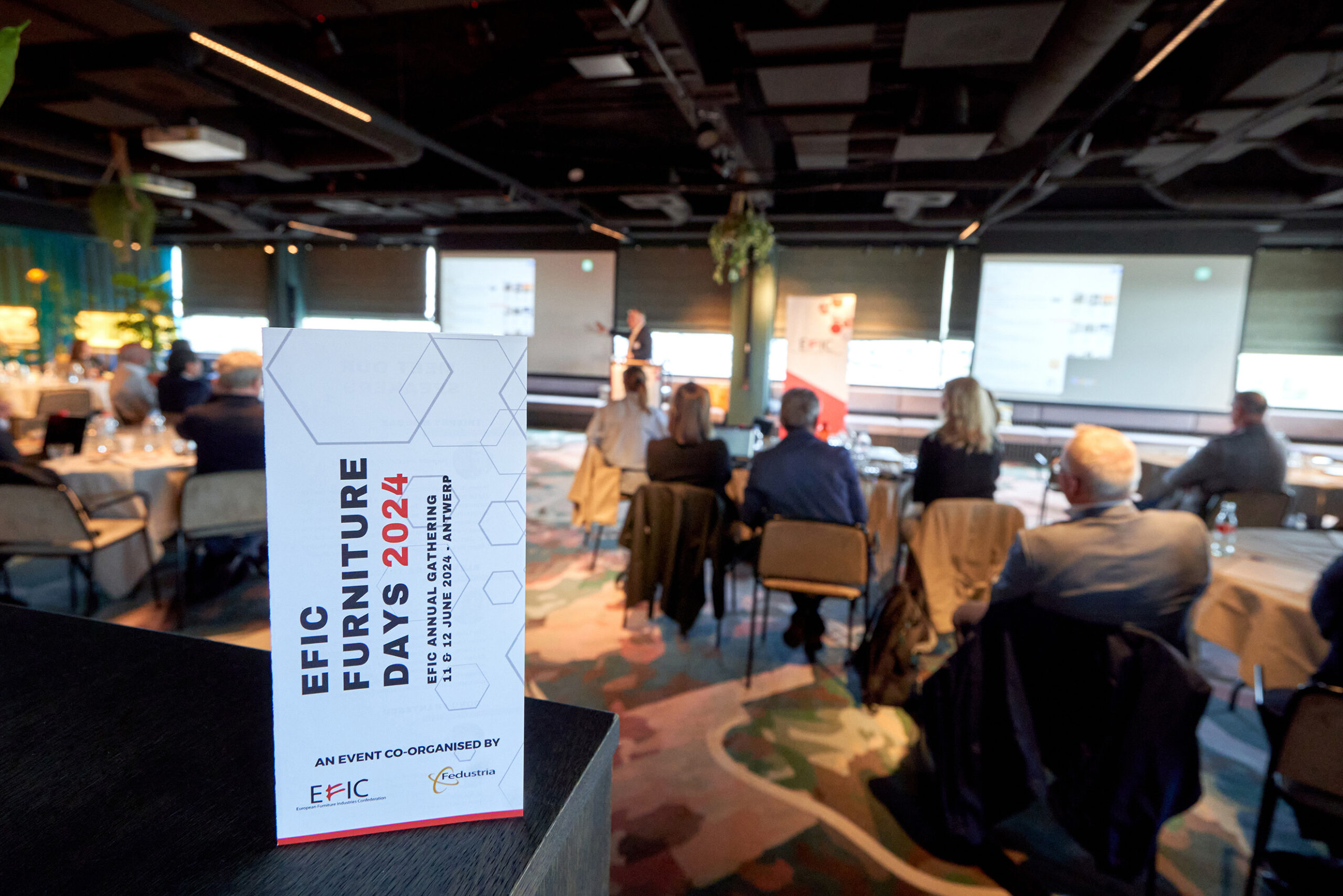 EFIC_050_k EFIC_050_k