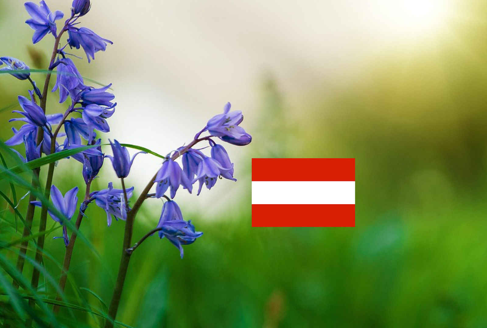 landschauft-austria landschauft-austria