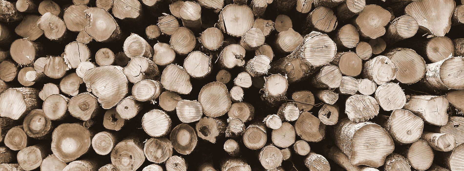 wood-1868104_1920-reduziert